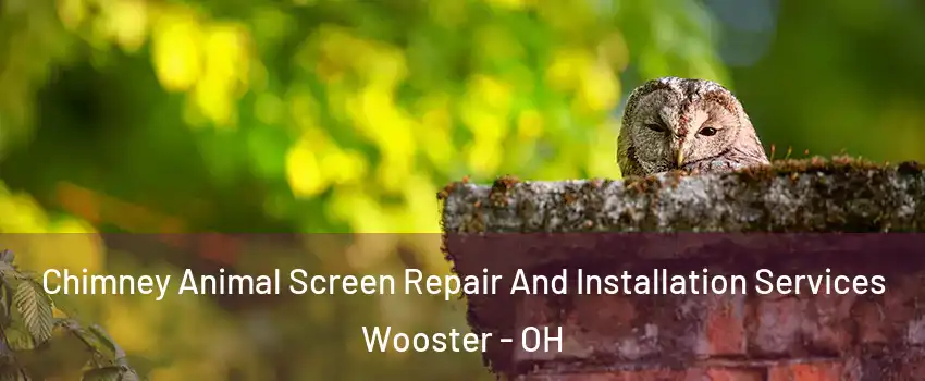  Chimney Animal Screen Repair And Installation Services Wooster - OH