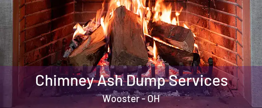  Chimney Ash Dump Services Wooster - OH