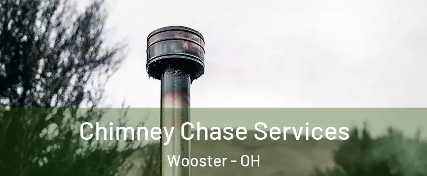  Chimney Chase Services Wooster - OH