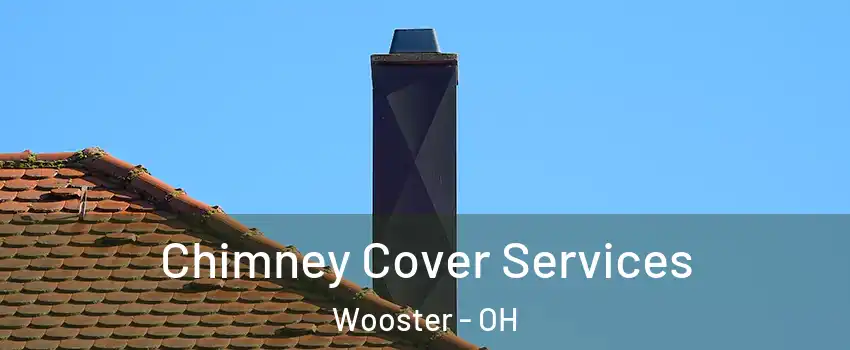  Chimney Cover Services Wooster - OH