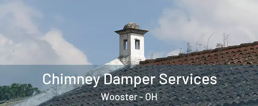  Chimney Damper Services Wooster - OH