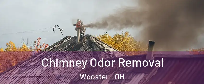  Chimney Odor Removal Wooster - OH