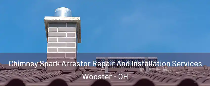  Chimney Spark Arrestor Repair And Installation Services Wooster - OH