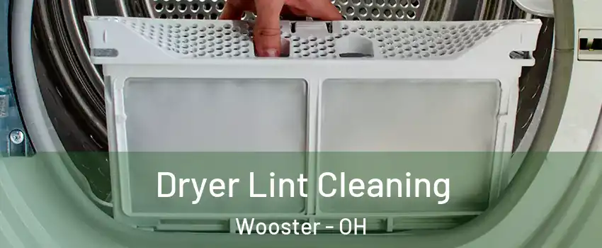  Dryer Lint Cleaning Wooster - OH