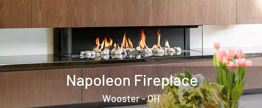  Napoleon Fireplace Wooster - OH