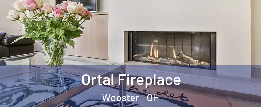  Ortal Fireplace Wooster - OH